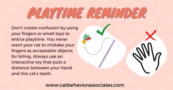 Pam Johnson-Bennett tweet media