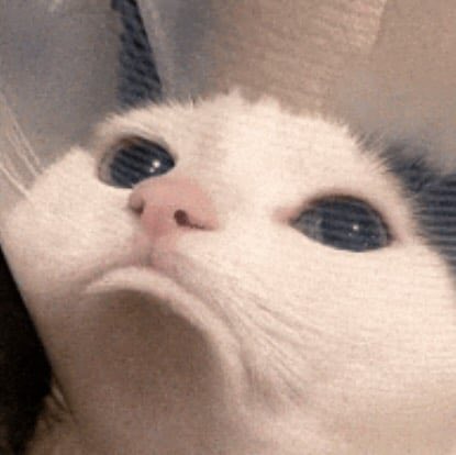 𝟚𝟑𝟒𝟟𝕔 tweet media