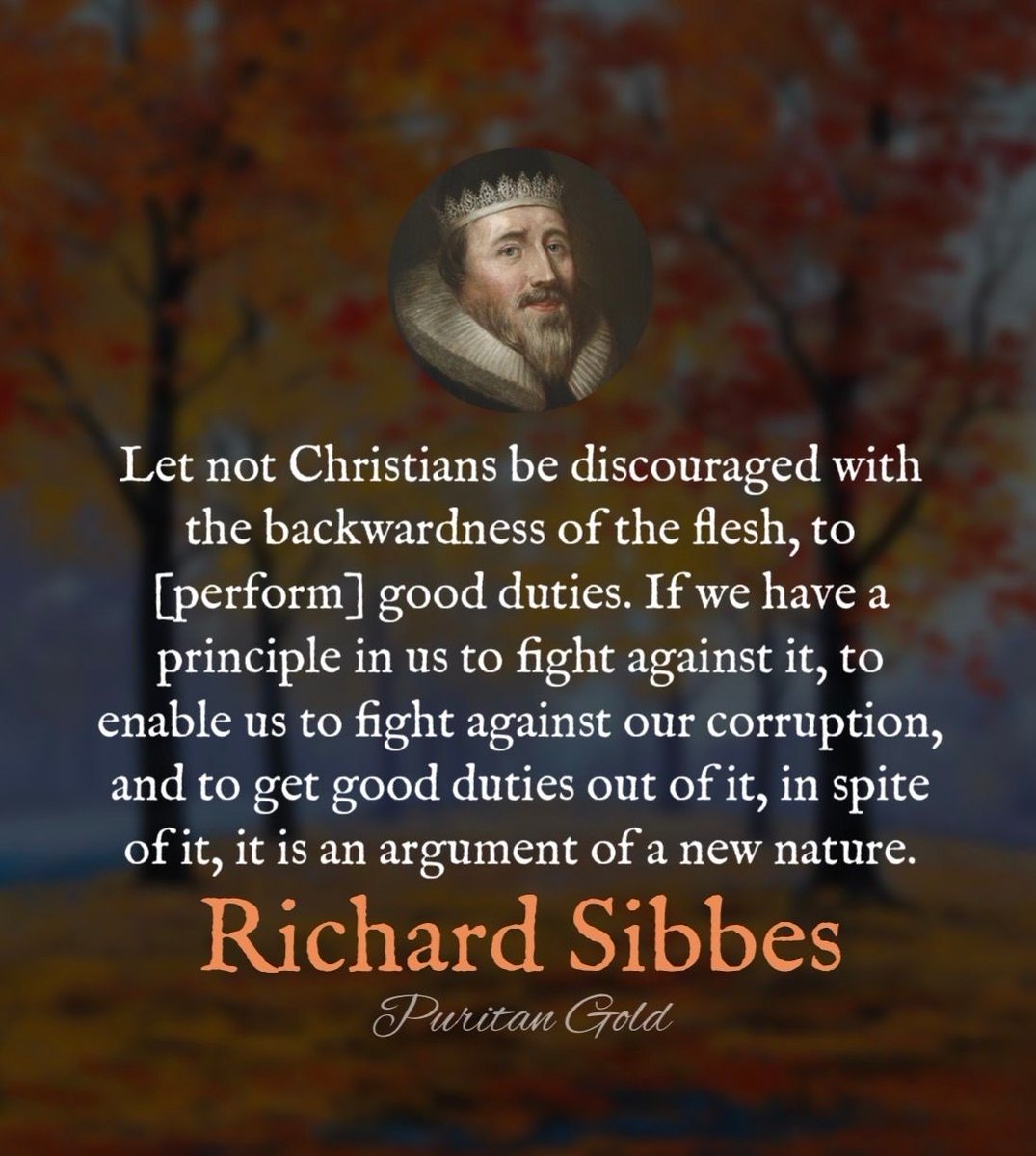 Puritan Gold tweet media