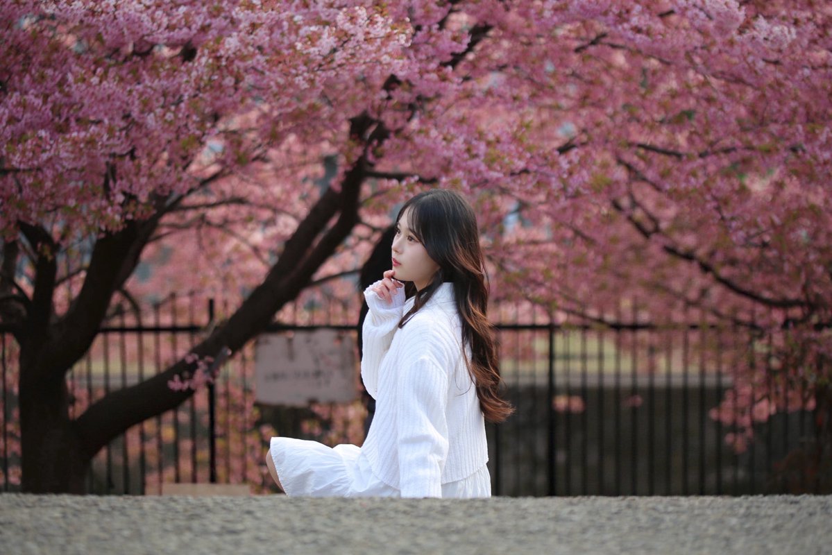 ななサクのさくらの方 4月3日~5日 F16にてほのぼの展🫶🏻 tweet media