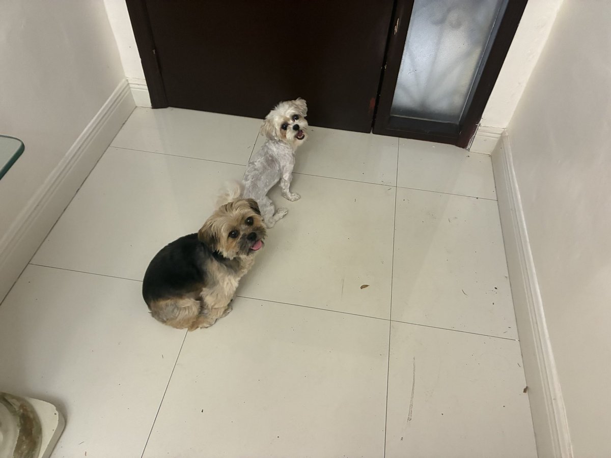 Paul Ramos tweet media