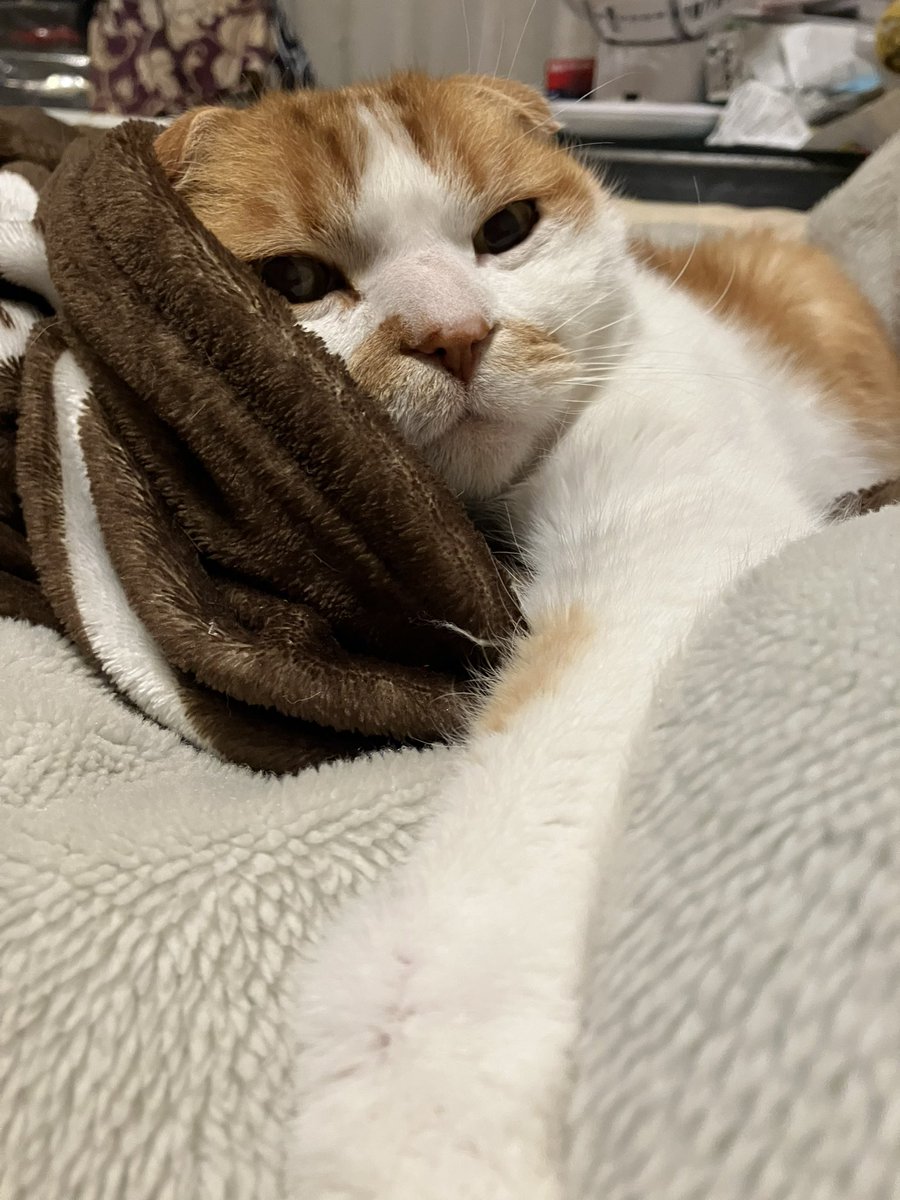 まるたろう　不具合でいいね❤️RTが消えてごめんなさい😅💦💦 tweet media