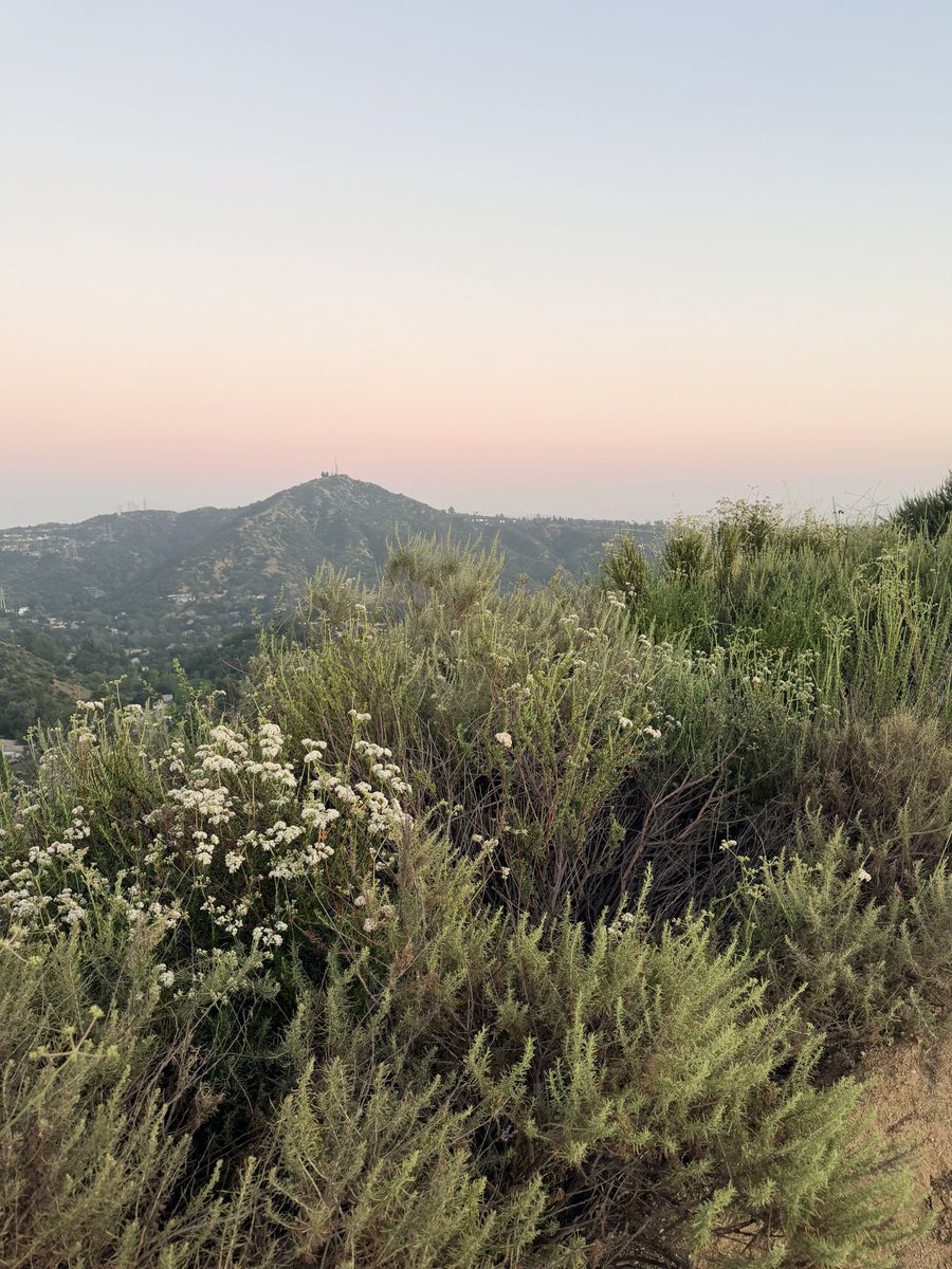 Leah Berman tweet media