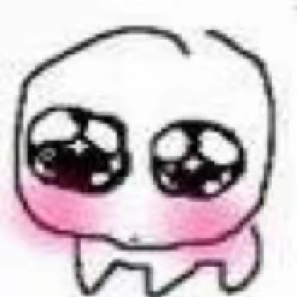 应许之地 tweet media