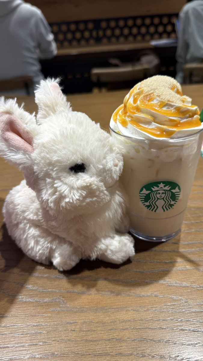 しきちゃん tweet media