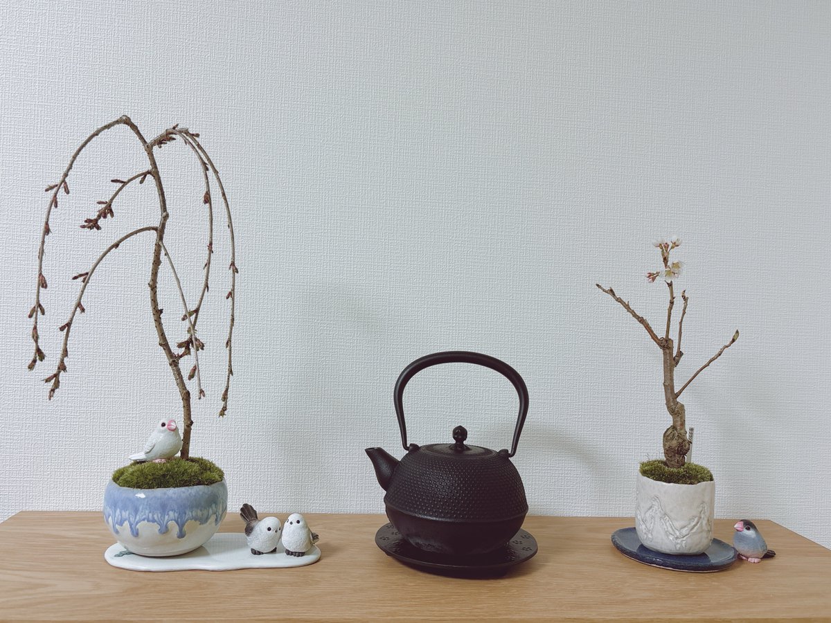 ラピス tweet media