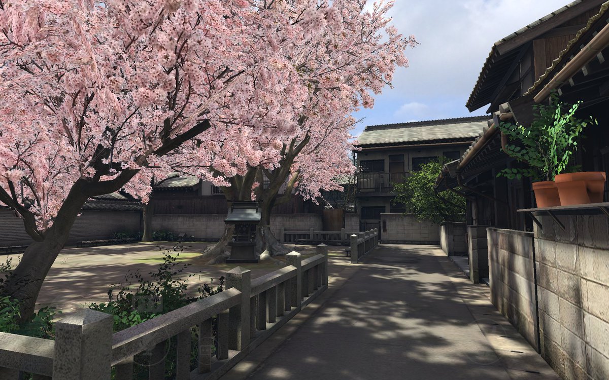 RootGentle tweet media