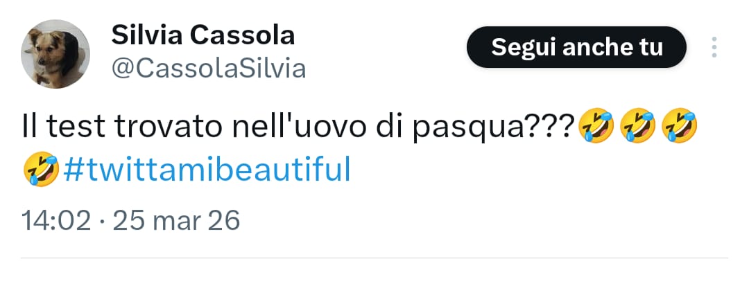 TwittamiBeautiful tweet media