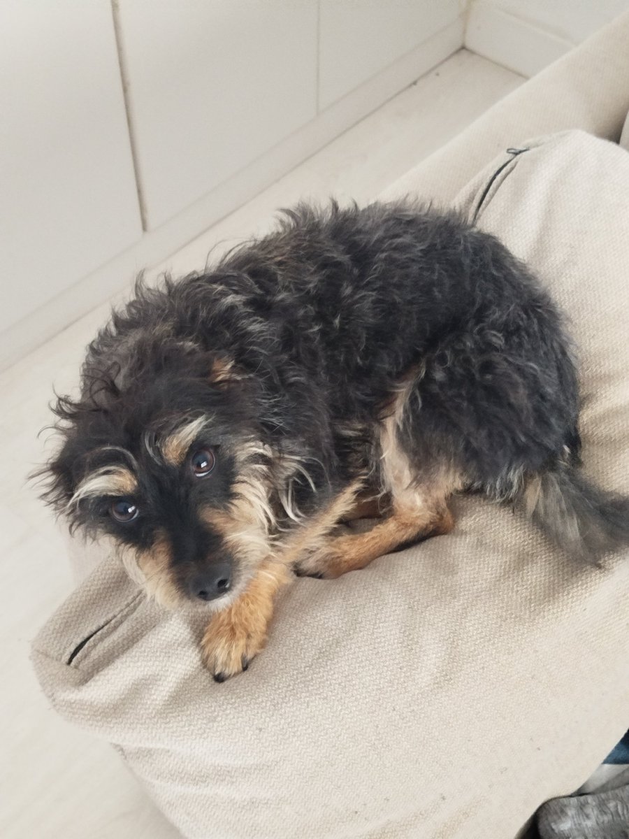 Alber 💙❤️ tweet media