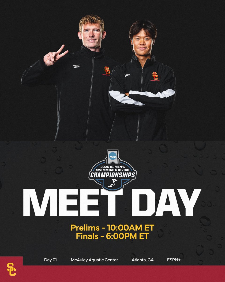 USC Swim & Dive tweet media