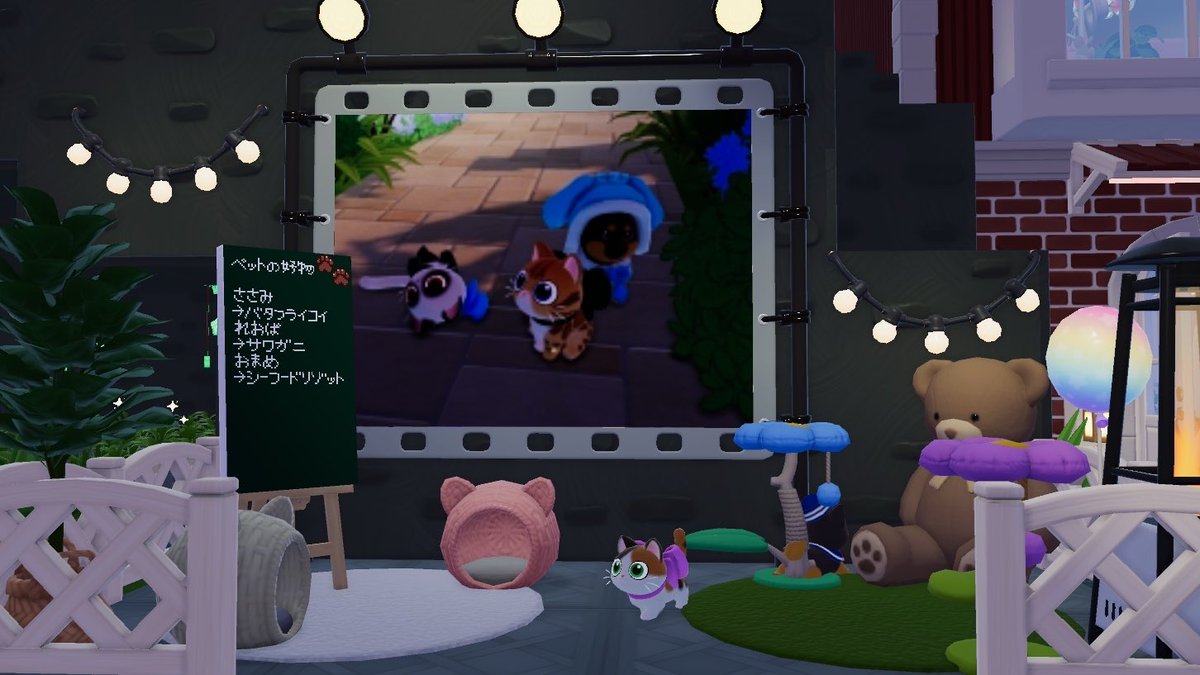 umipia_'s tweet photo. https://t.co/F0CCTbgYNG