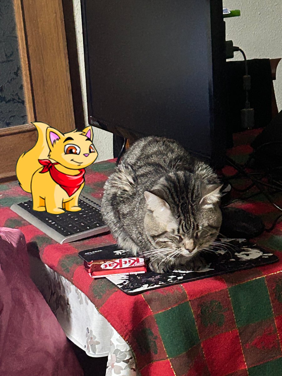 Bryan Estrada Leon tweet media