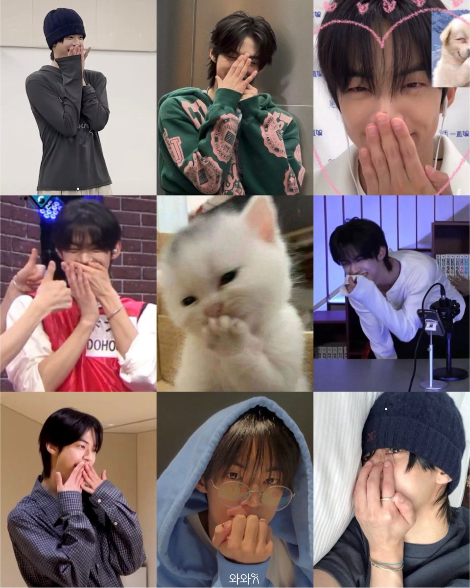 와와𐙚 tweet media