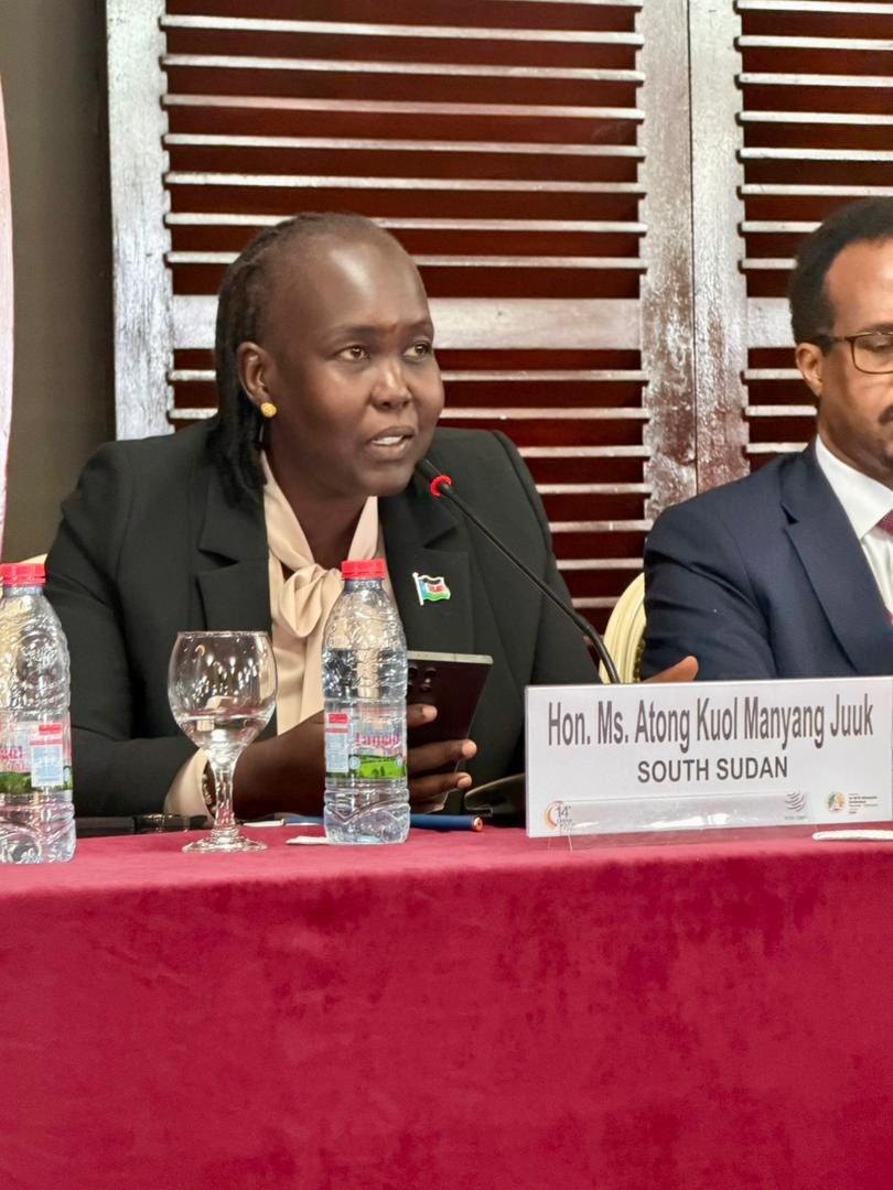 South Sudan Government tweet media