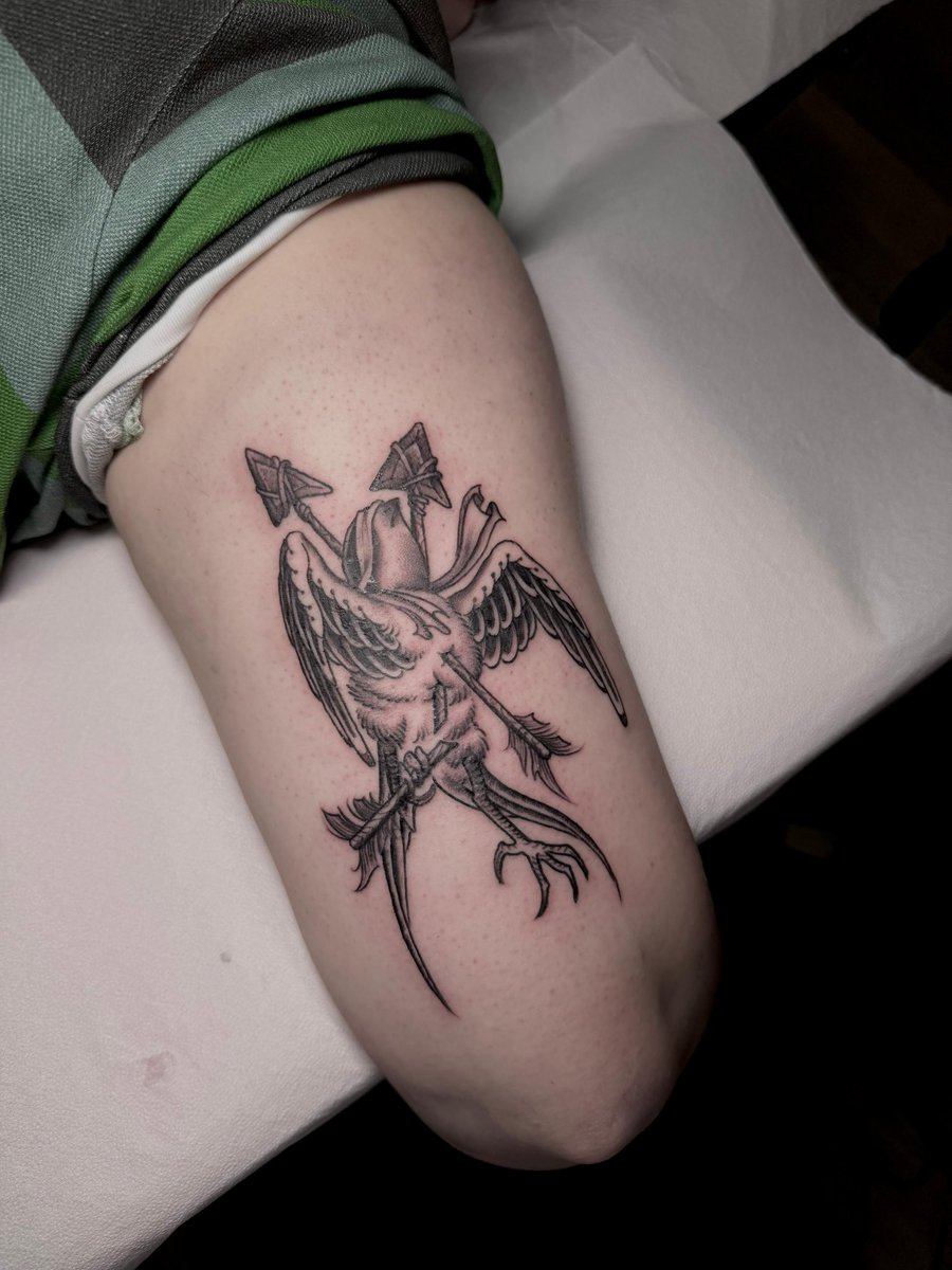 alex🧸 csplf tweet media