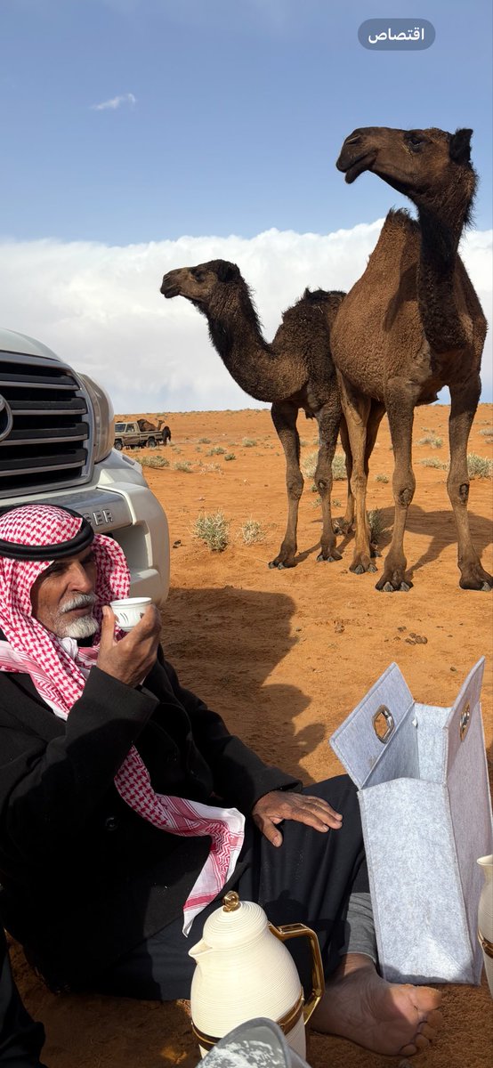 هدلان الرويلـي .. tweet media