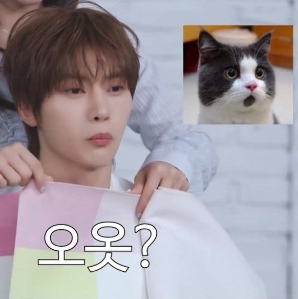 LQ_matthew's tweet photo. https://t.co/XiU0AxBEZt