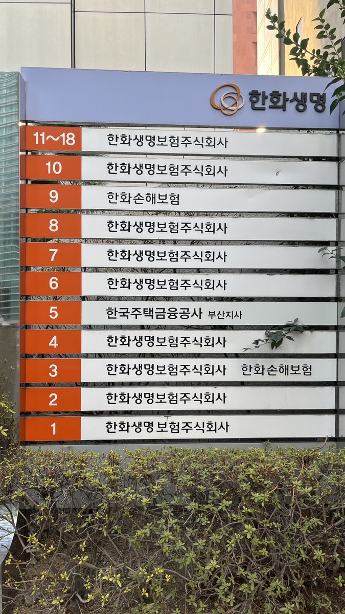 ロリギャン tweet media