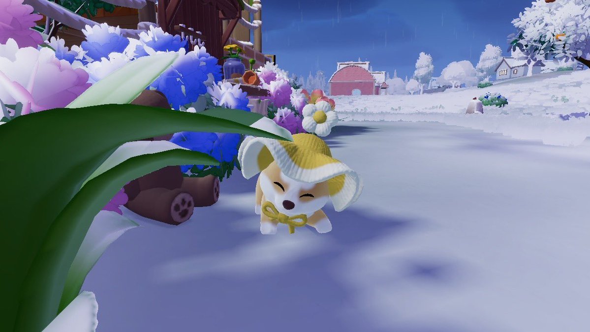 𝚗𝚊𝚐𝚊𝚛𝚞 tweet media