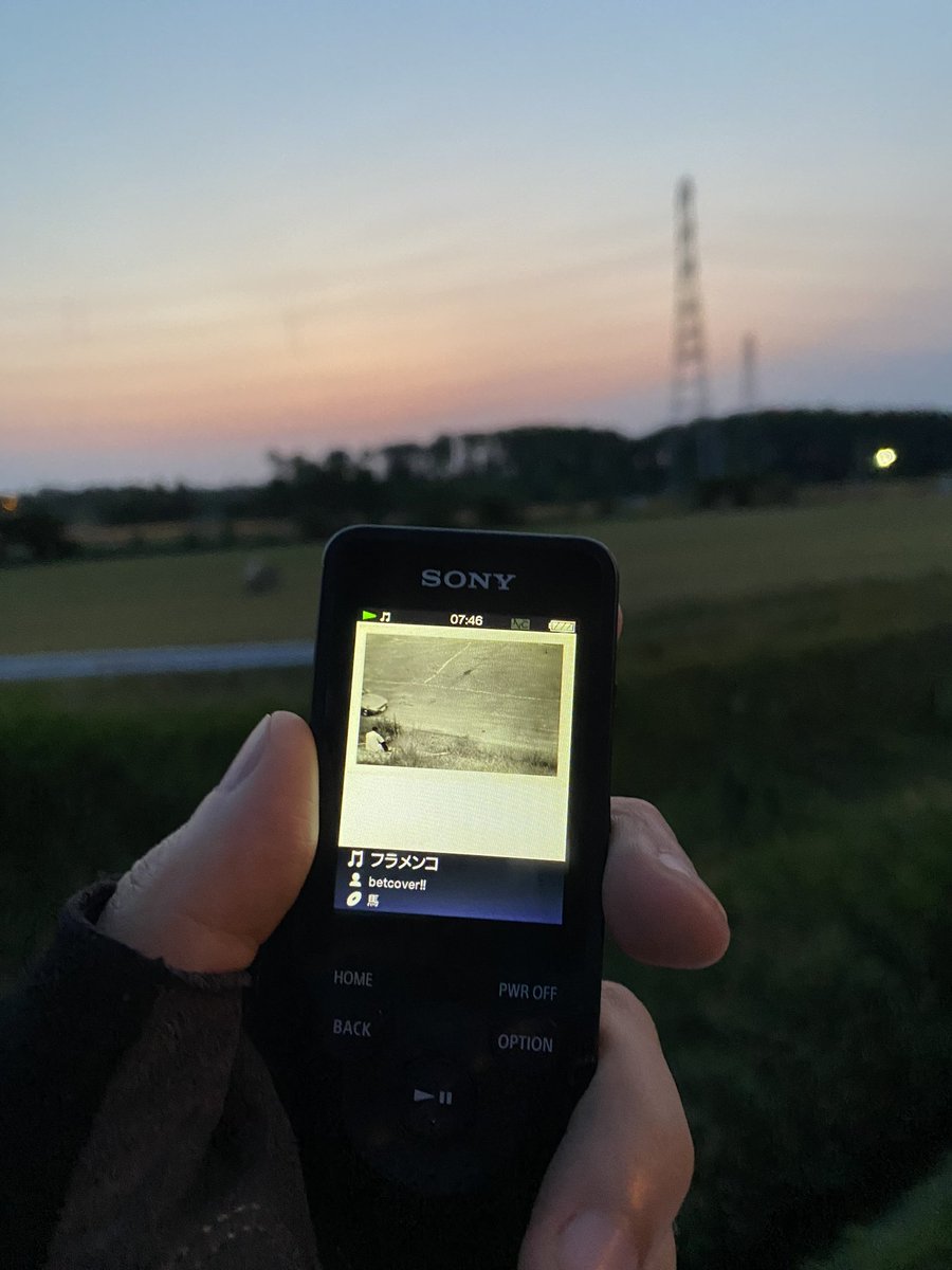 大仏オメガ tweet media