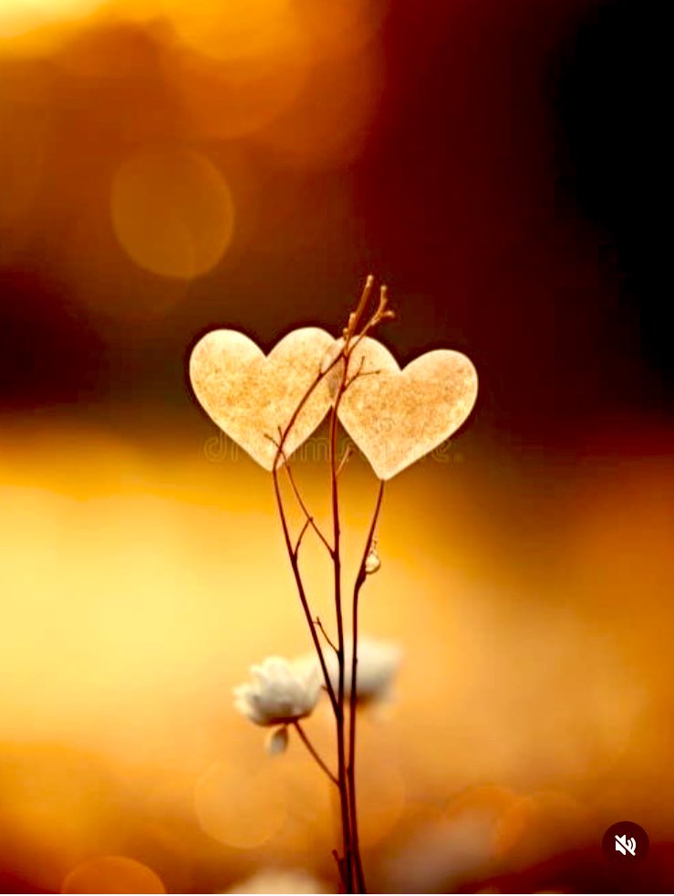 🦋 Nilgün 🦋 tweet media