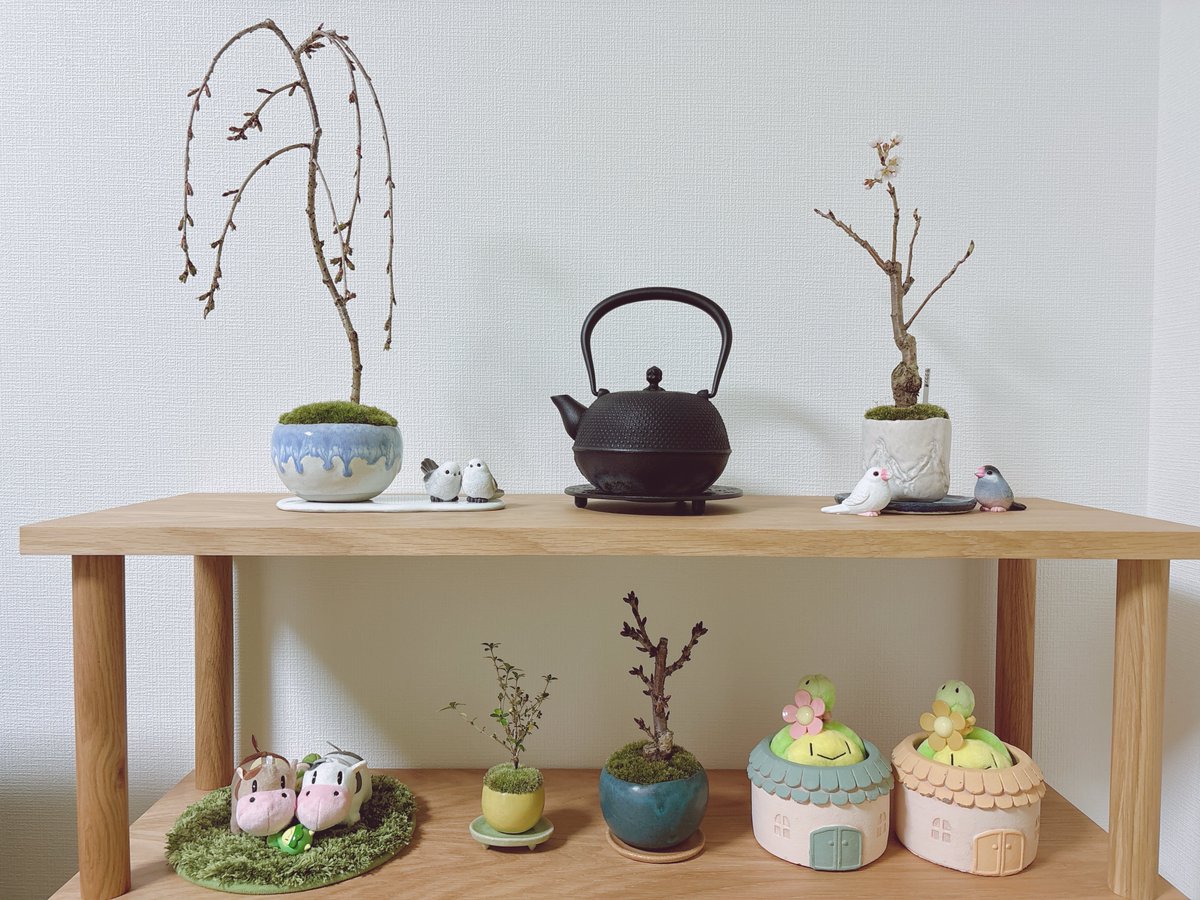 ラピス tweet media