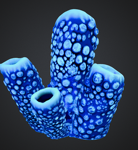 sircwillow's tweet photo. Corals For Roblox Underwater Game #3DModeling #RobloxDev #GameAssets #ForHire #OpenToWork #coral https://t.co/DKAgkISTDq