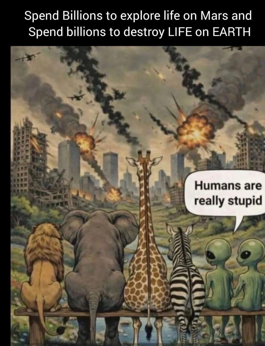 Andrew Bridgen tweet media