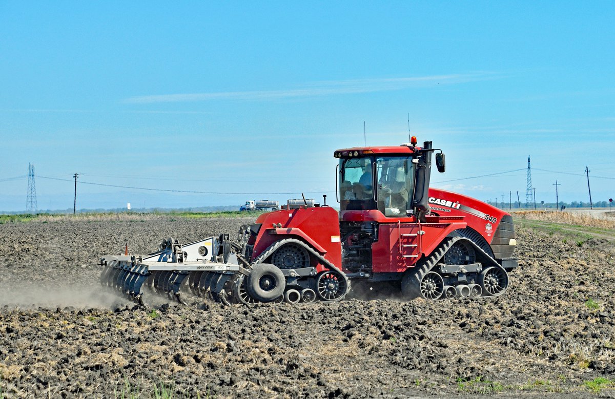 Vicky Boyd tweet media