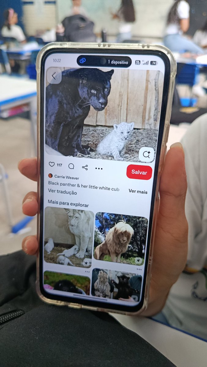 ⊹ ࣪ ˖ 𝒌𝒆𝒚 🐇 tweet media