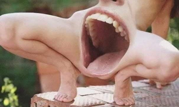 Cio😈🔪 tweet media