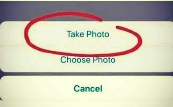 dallen.luna tweet media