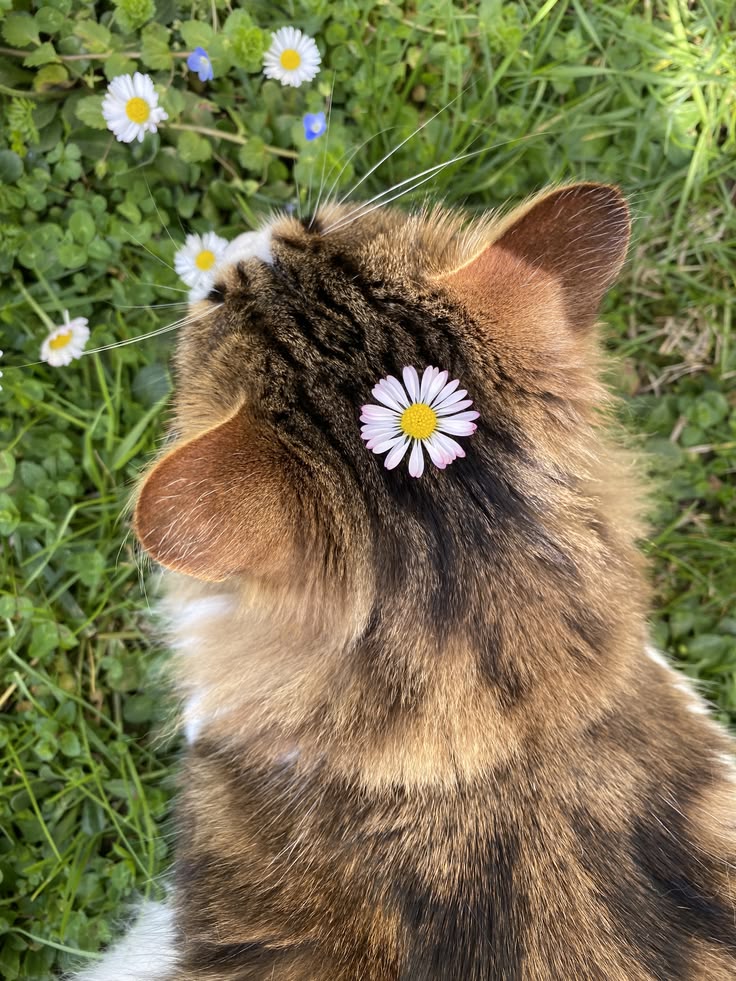 Purely Green tweet media