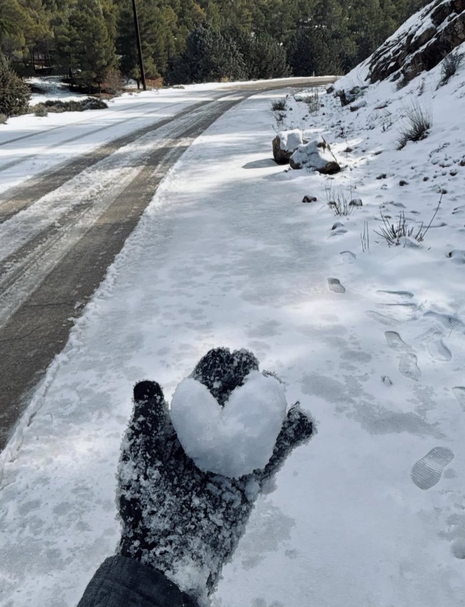 syria pinterest tweet media