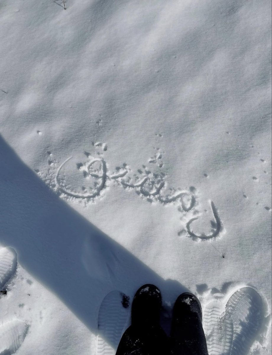 syria pinterest tweet media