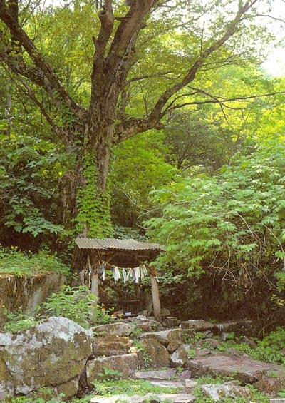 삼중/모리코아(morikoa) tweet media