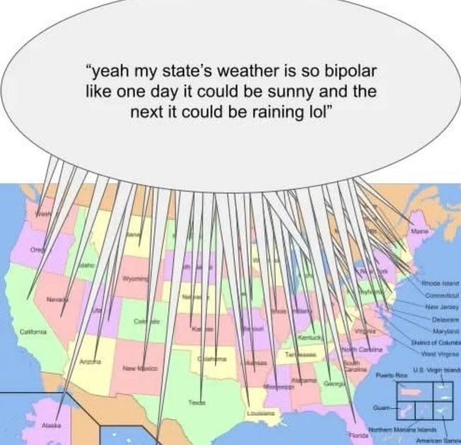 Internet Slop tweet media