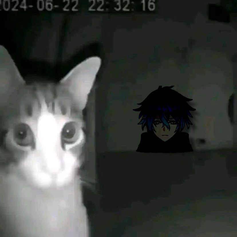 ‍ ‍ ？ ‍ ‍ tweet media