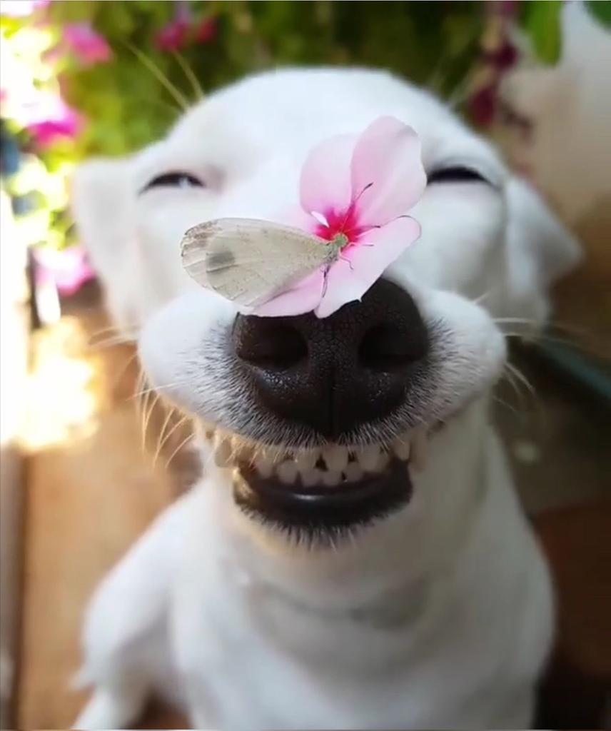 성일이 tweet media