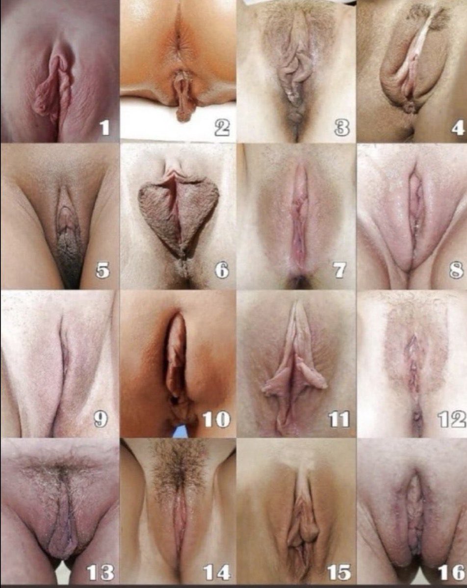 Las leo en los comentarios.
🍍🤟🏽
Chiclayork 📌