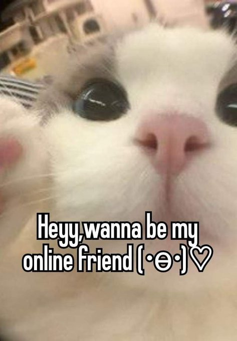 𝓛𝓪𝓲𝓷𝓷𝓮 🦋 tweet media