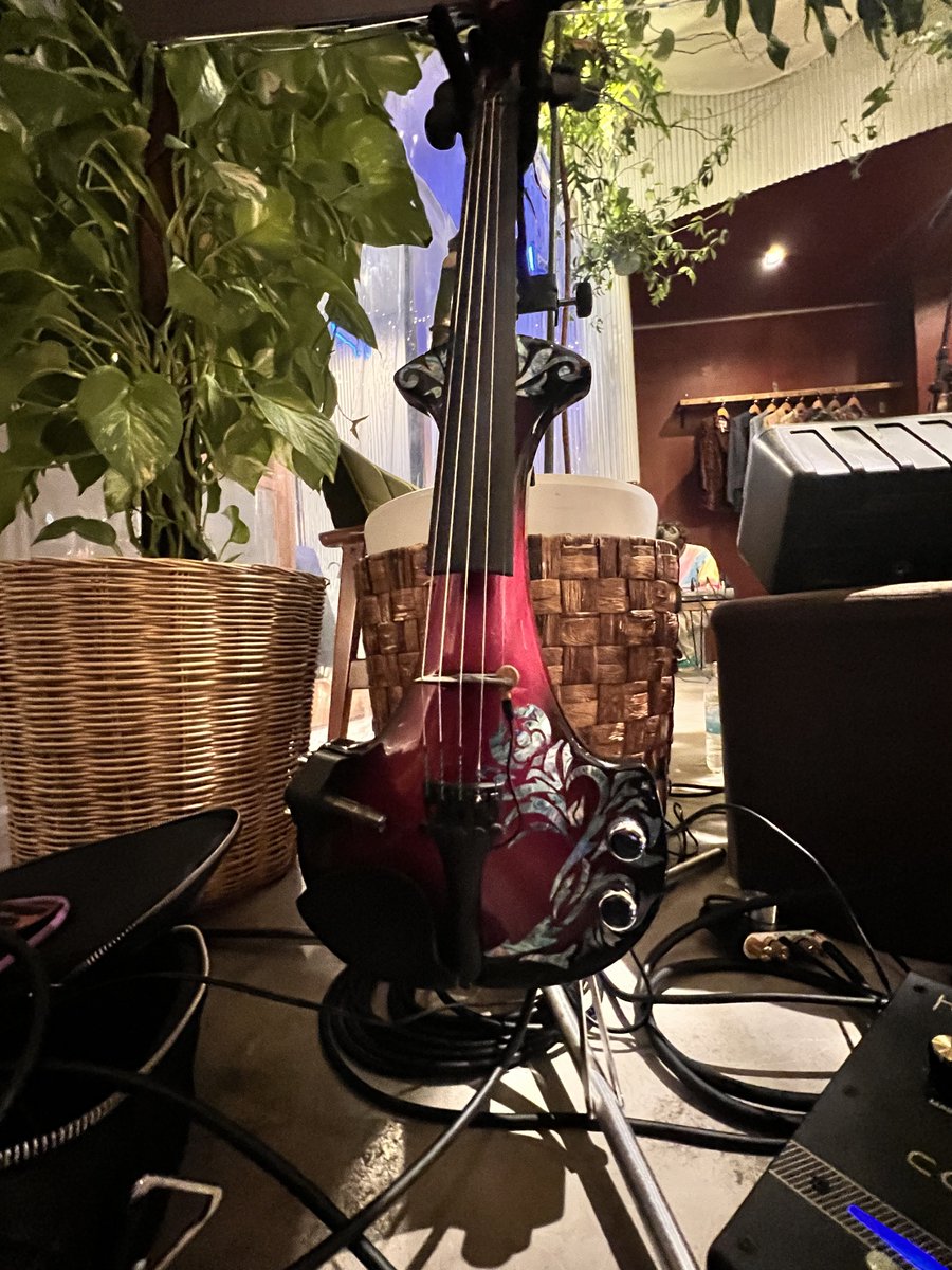 とん @E.Vn🎼🎻 tweet media