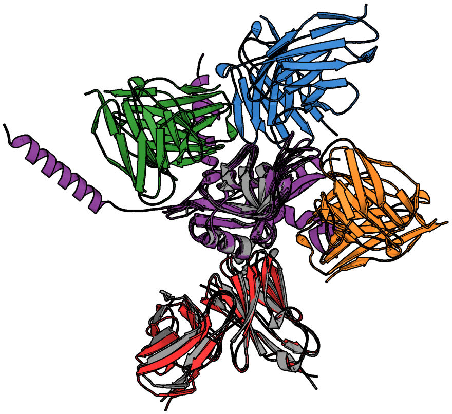 Matteo Tadiello tweet media