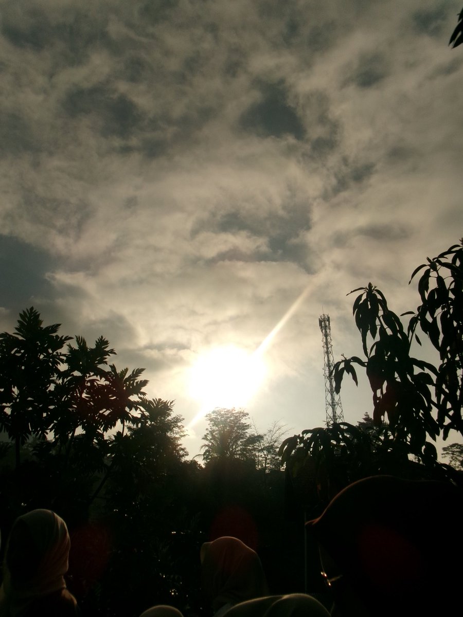 piperelle tweet media