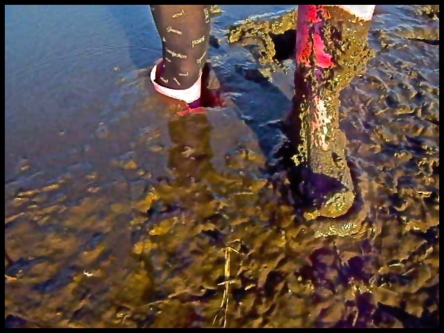 humpychan tweet media