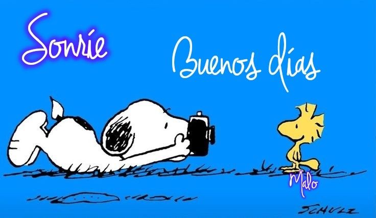 Chilbita🌹💛 tweet media