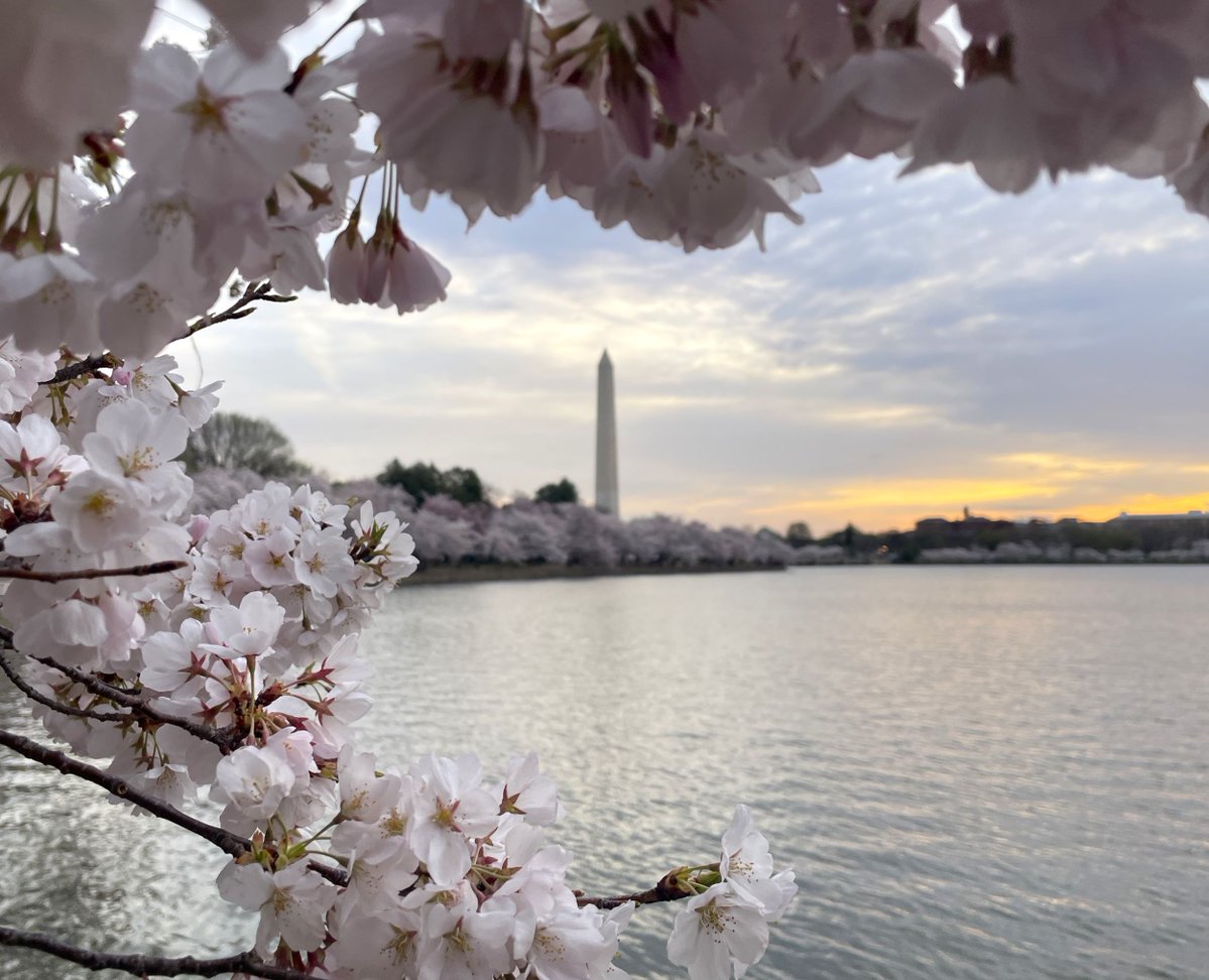 National Mall NPS tweet media
