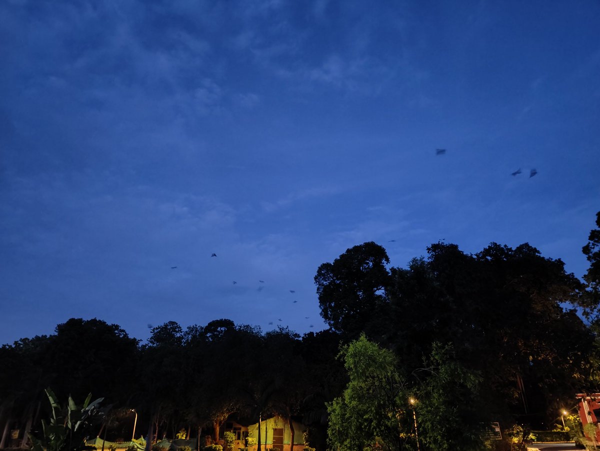 Janardhan 🏹 tweet media