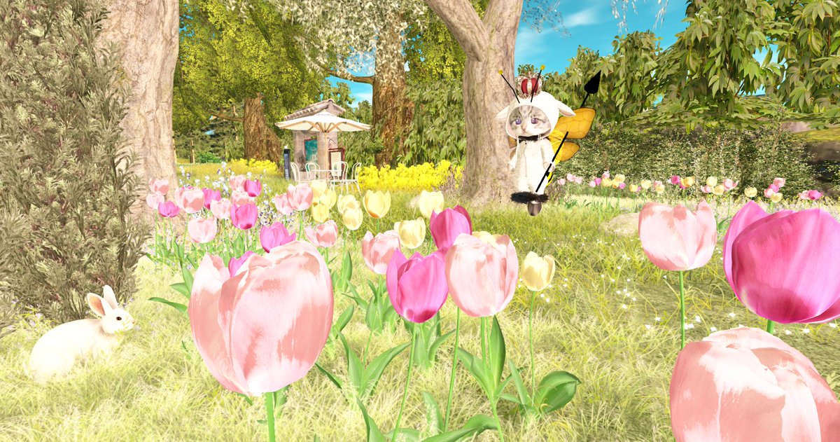 chi Okey tweet media