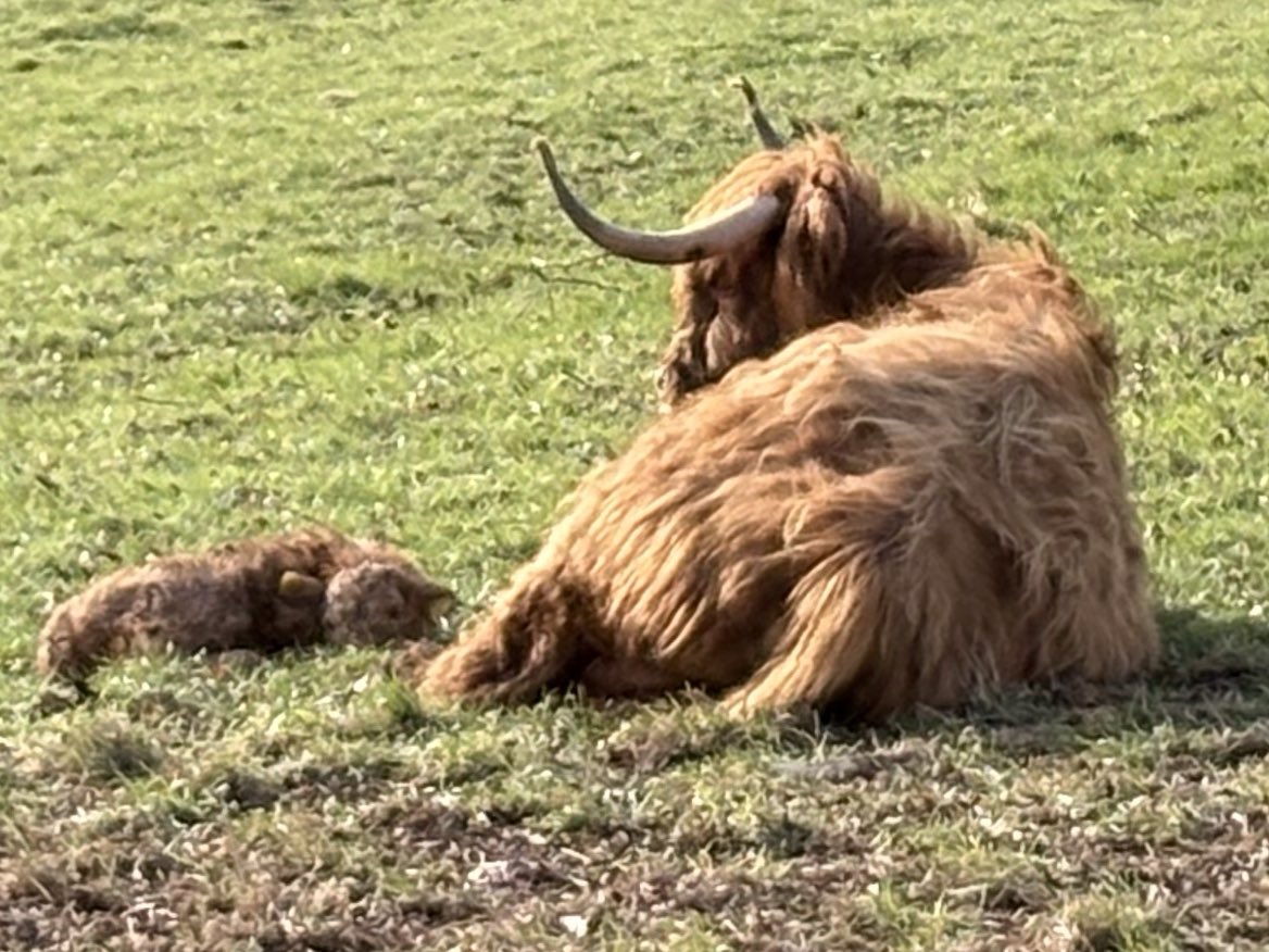 Ruby Redhead 🟩⬜️🟪 tweet media